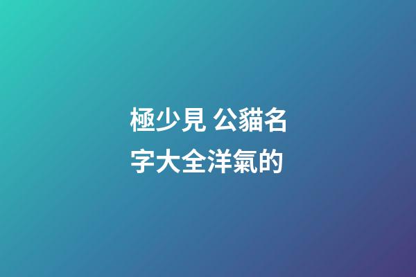 極少見 公貓名字大全洋氣的
